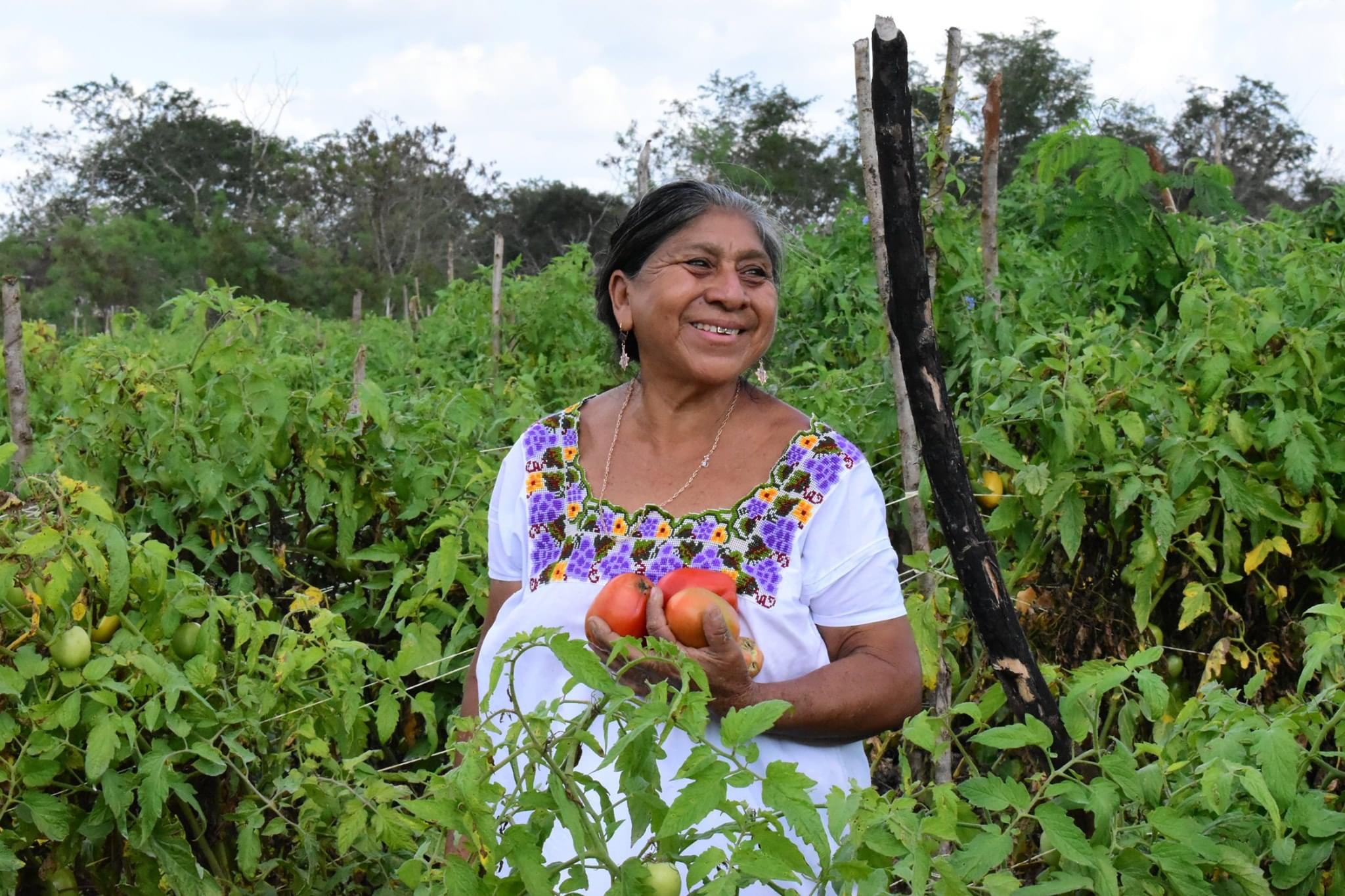 Pandemia golpea, pero el campo es vida, trabajo y amor: campesinos